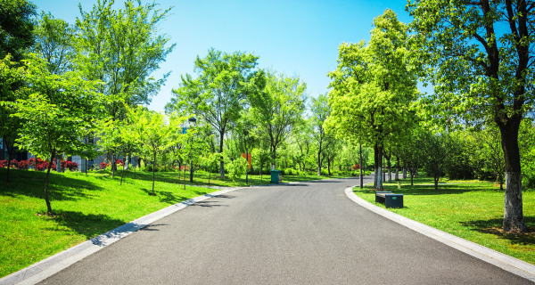 緑の公園を通る道